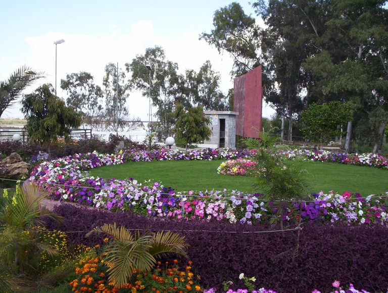 Photo: Brainlara / Public domain, via Wikimedia Commons