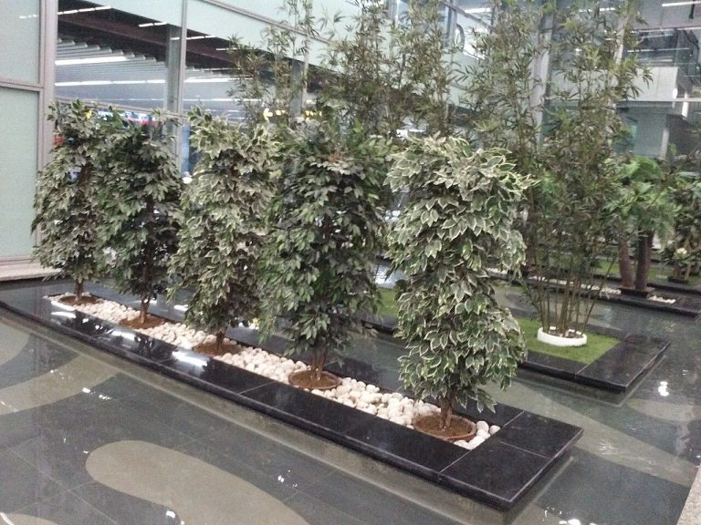 Tree Designs for Interior